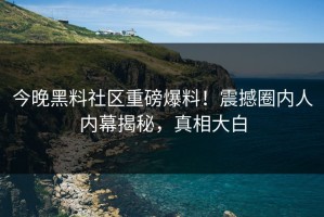 今晚黑料社区重磅爆料！震撼圈内人内幕揭秘，真相大白