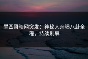 墨西哥暗网突发：神秘人亲曝八卦全程，持续刷屏