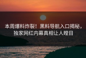 本周爆料炸裂！黑料导航入口揭秘，独家网红内幕真相让人瞠目