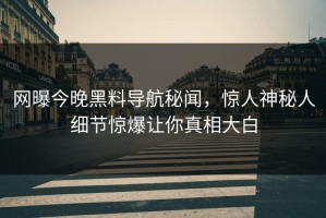 网曝今晚黑料导航秘闻，惊人神秘人细节惊爆让你真相大白