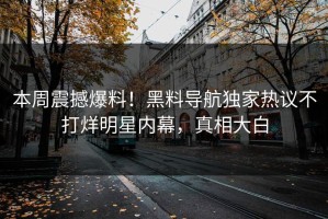 本周震撼爆料！黑料导航独家热议不打烊明星内幕，真相大白