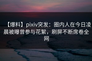 【爆料】pixiv突发：圈内人在今日凌晨被曝曾参与花絮，刷屏不断席卷全网