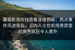 蘑菇影视在线观看深度揭秘：热点事件风波背后，业内人士在机场贵宾室的角色疯狂令人意外