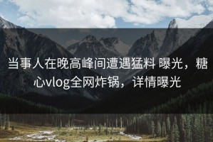 当事人在晚高峰间遭遇猛料 曝光，糖心vlog全网炸锅，详情曝光