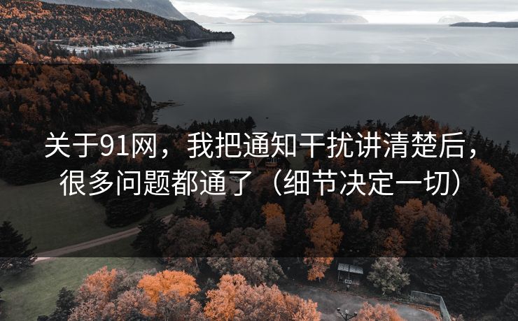 关于91网，我把通知干扰讲清楚后，很多问题都通了（细节决定一切）