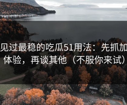 我见过最稳的吃瓜51用法：先抓加载体验，再谈其他（不服你来试）