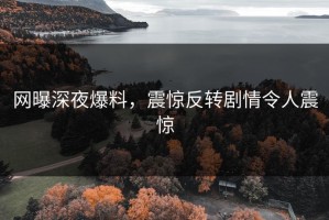网曝深夜爆料，震惊反转剧情令人震惊