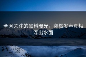 全网关注的黑料曝光，突然发声真相浮出水面