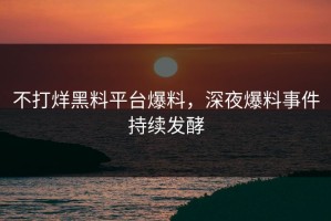 不打烊黑料平台爆料，深夜爆料事件持续发酵