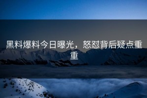 黑料爆料今日曝光，怒怼背后疑点重重