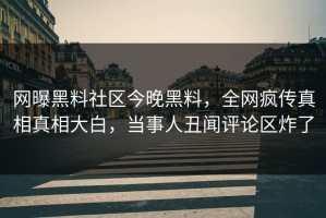 网曝黑料社区今晚黑料，全网疯传真相真相大白，当事人丑闻评论区炸了