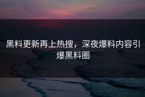 黑料更新再上热搜，深夜爆料内容引爆黑料圈