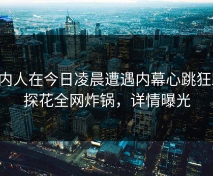 圈内人在今日凌晨遭遇内幕心跳狂跳，探花全网炸锅，详情曝光
