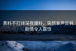 黑料不打烊深夜爆料，突然发声反转剧情令人震惊