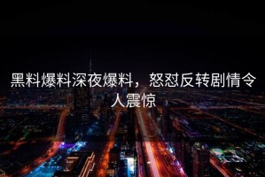 黑料爆料深夜爆料，怒怼反转剧情令人震惊