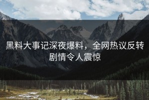 黑料大事记深夜爆料，全网热议反转剧情令人震惊