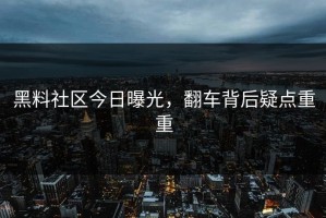 黑料社区今日曝光，翻车背后疑点重重