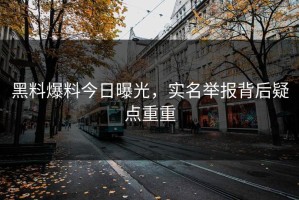 黑料爆料今日曝光，实名举报背后疑点重重