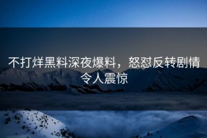 不打烊黑料深夜爆料，怒怼反转剧情令人震惊