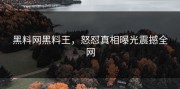 黑料网黑料王，怒怼真相曝光震撼全网