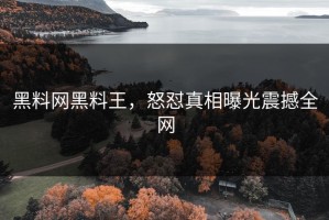 黑料网黑料王，怒怼真相曝光震撼全网
