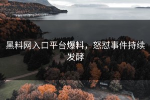 黑料网入口平台爆料，怒怼事件持续发酵