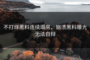 不打烊黑料连续塌房，崩溃黑料曝光无法自辩
