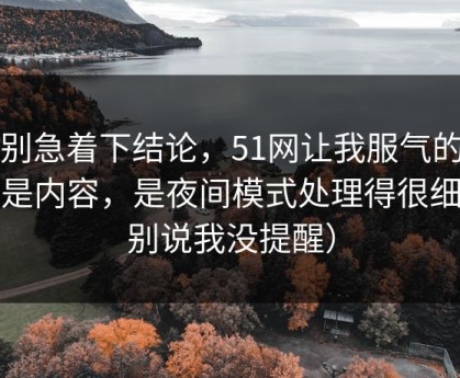 先别急着下结论，51网让我服气的点不是内容，是夜间模式处理得很细（别说我没提醒）