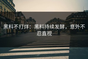 黑料不打烊：黑料持续发酵，意外不忍直视