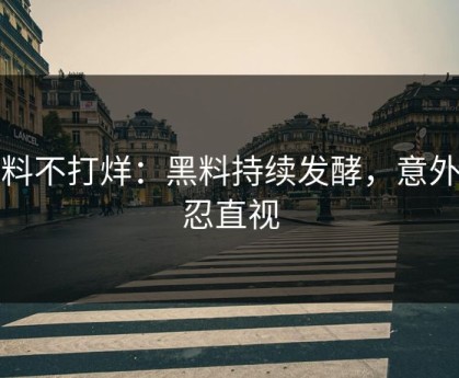 黑料不打烊：黑料持续发酵，意外不忍直视