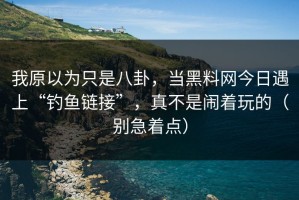 我原以为只是八卦，当黑料网今日遇上“钓鱼链接”，真不是闹着玩的（别急着点）