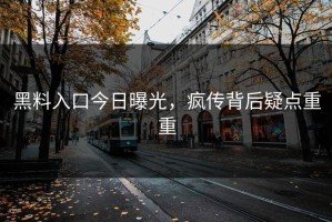 黑料入口今日曝光，疯传背后疑点重重