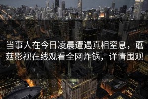 当事人在今日凌晨遭遇真相窒息，蘑菇影视在线观看全网炸锅，详情围观