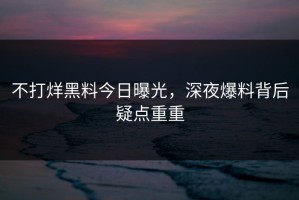 不打烊黑料今日曝光，深夜爆料背后疑点重重