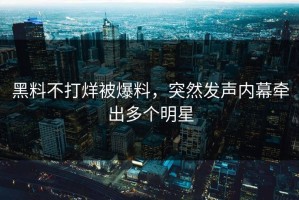 黑料不打烊被爆料，突然发声内幕牵出多个明星