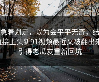 别急着划走，以为会平平无奇，结果直接上头新91视频最近又被翻出来，引得老瓜友重新回坑