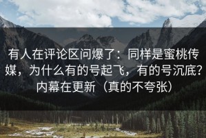 有人在评论区问爆了：同样是蜜桃传媒，为什么有的号起飞，有的号沉底？内幕在更新（真的不夸张）
