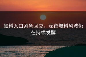 黑料入口紧急回应，深夜爆料风波仍在持续发酵