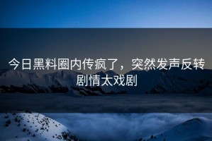 今日黑料圈内传疯了，突然发声反转剧情太戏剧