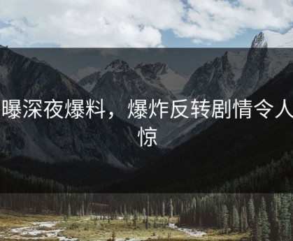 网曝深夜爆料，爆炸反转剧情令人震惊