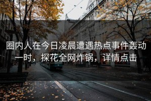 圈内人在今日凌晨遭遇热点事件轰动一时，探花全网炸锅，详情点击