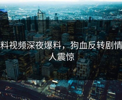 黑料视频深夜爆料，狗血反转剧情令人震惊