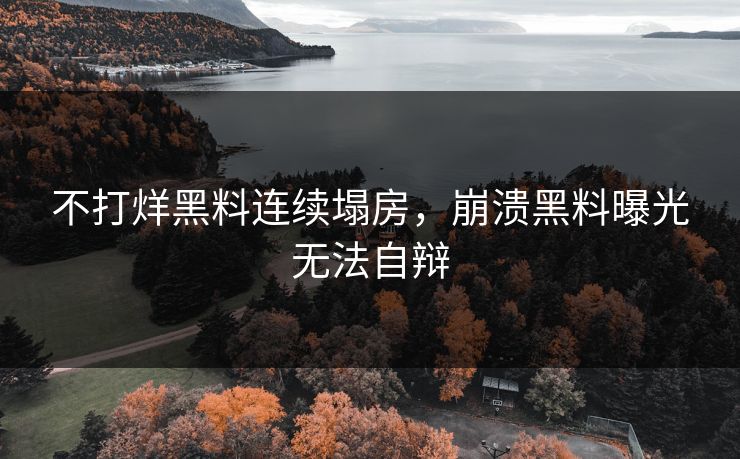 不打烊黑料连续塌房，崩溃黑料曝光无法自辩
