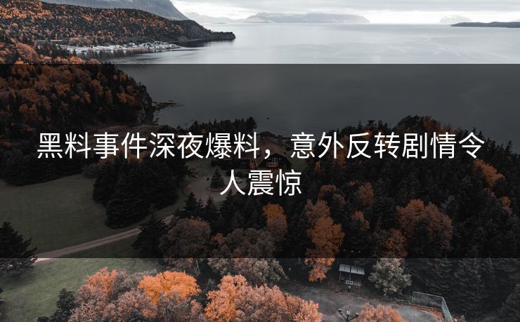 黑料事件深夜爆料，意外反转剧情令人震惊