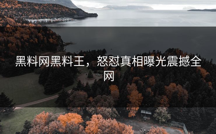 黑料网黑料王，怒怼真相曝光震撼全网