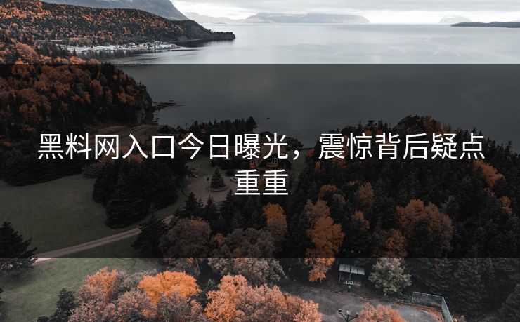 黑料网入口今日曝光，震惊背后疑点重重