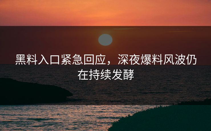 黑料入口紧急回应，深夜爆料风波仍在持续发酵