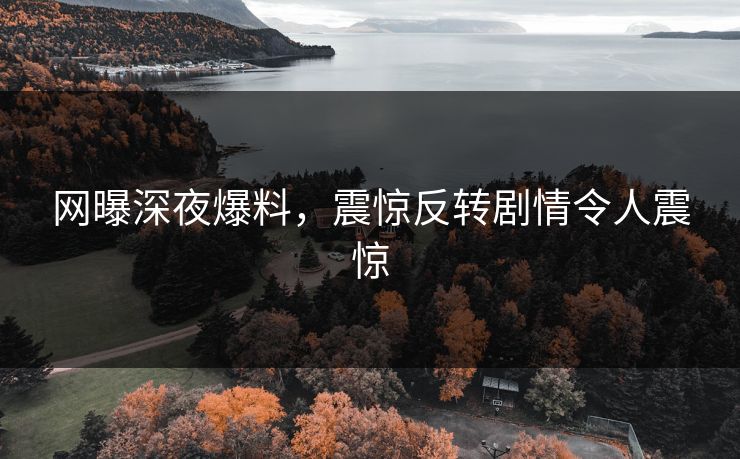 网曝深夜爆料，震惊反转剧情令人震惊