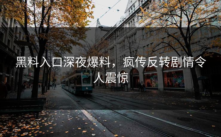 黑料入口深夜爆料，疯传反转剧情令人震惊