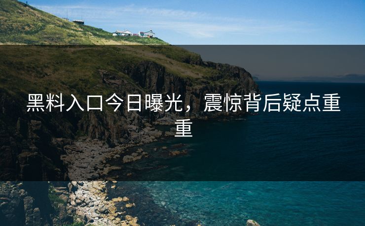 黑料入口今日曝光，震惊背后疑点重重